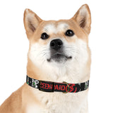Been Paid Multiple Logo Dog Collar