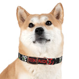 Been Paid Multiple Logo Dog Collar